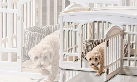 IRIS USA 24” 4 PANEL EXERCISE DOG PLAYPEN