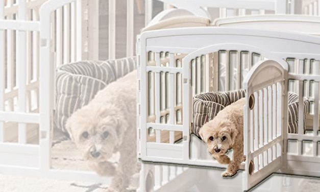 IRIS USA 24” 4 PANEL EXERCISE DOG PLAYPEN