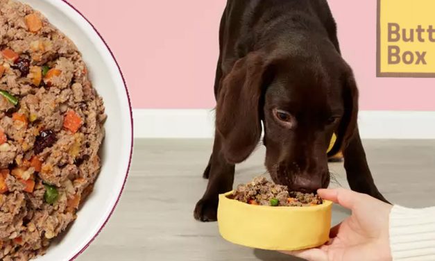 Butternut Box Premium Dog Food