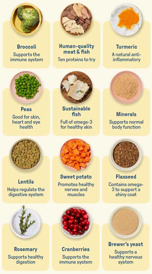 Butternut Box dog food ingredients