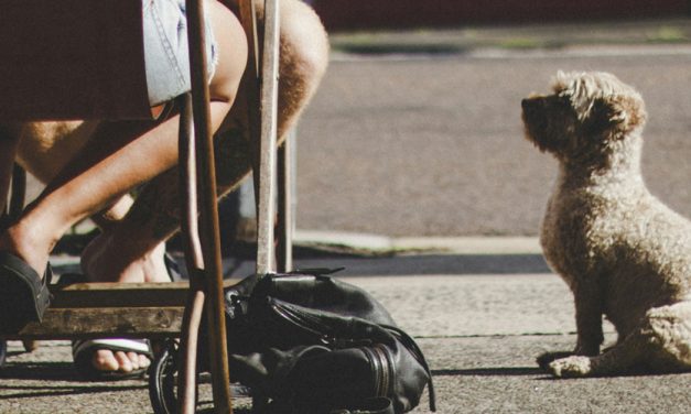 CLASSICAL COUNTERCONDITIONING