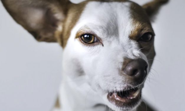 NEUROLOGICAL OR ILLNESS?