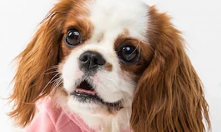 EXCITEMENT URINATION