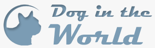 Dog in the World