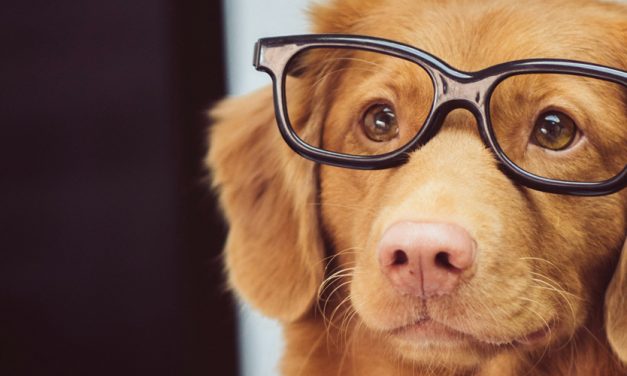 ADMINISTERING EYE DROPS