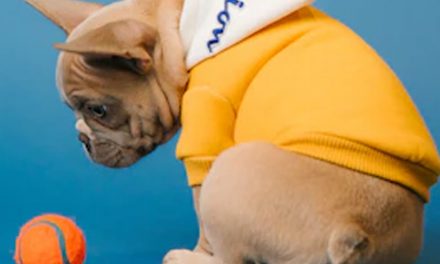 NEUTERING?