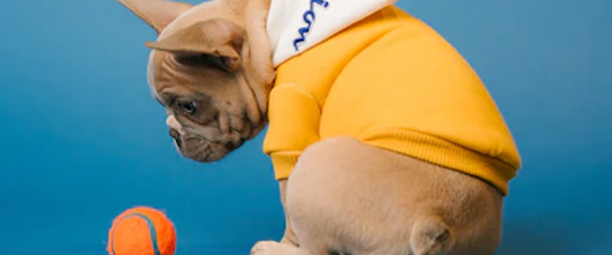 NEUTERING?