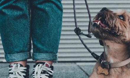 LEASH PULLING