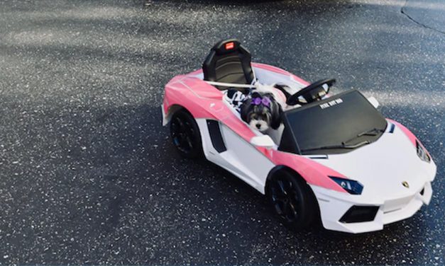 FIRST CAR EXPERIENCE