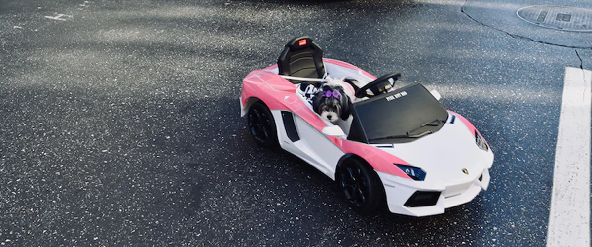 FIRST CAR EXPERIENCE