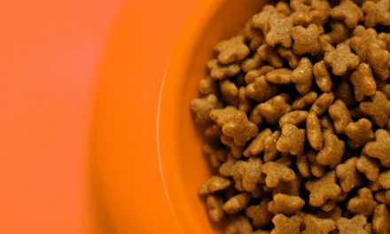 PUPPY NUTRITION