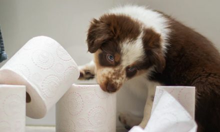 TOILET TRAINING