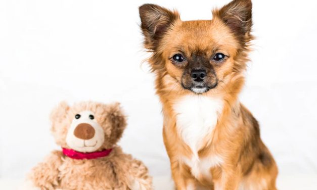 REINFORCE GOOD BEHAVIOUR