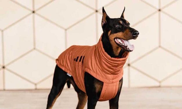 How do Anxiety Shirts and Jackets Work?