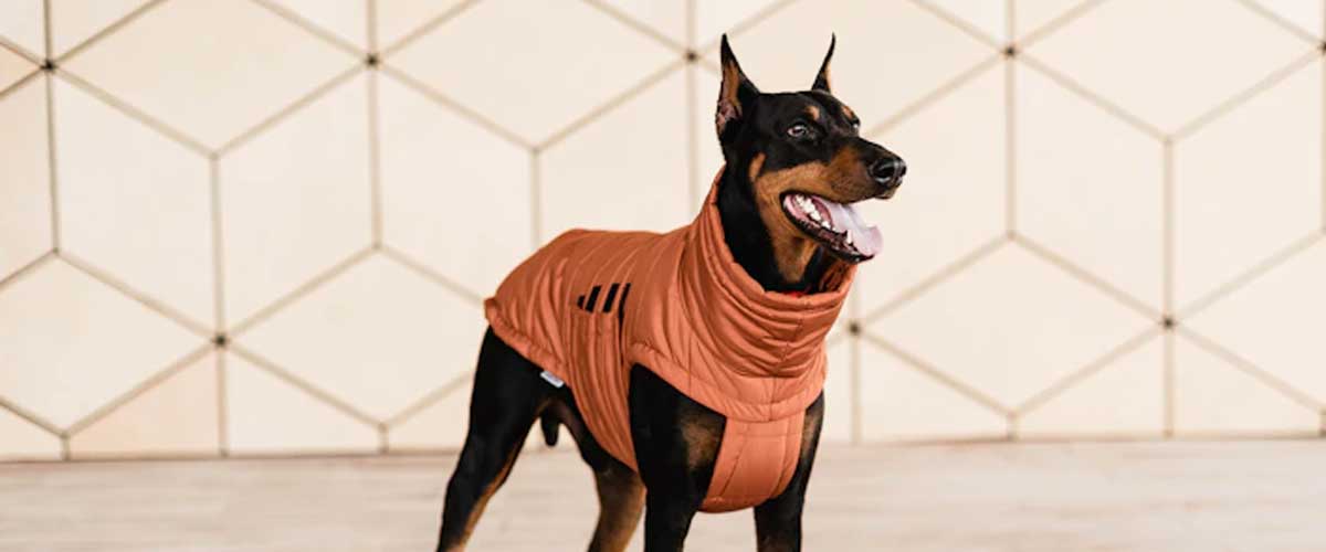 How do Anxiety Shirts and Jackets Work?