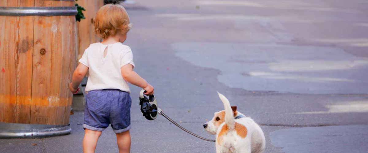 The Art of Dog Walking: Transforming a Daily Routine into an Outdoor Adventure