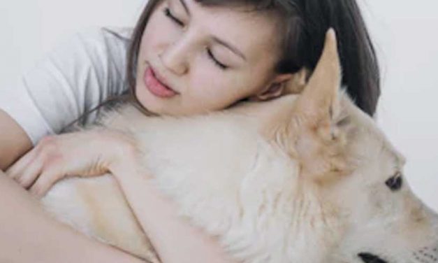 Can My Anxiety Make My Dog Anxious