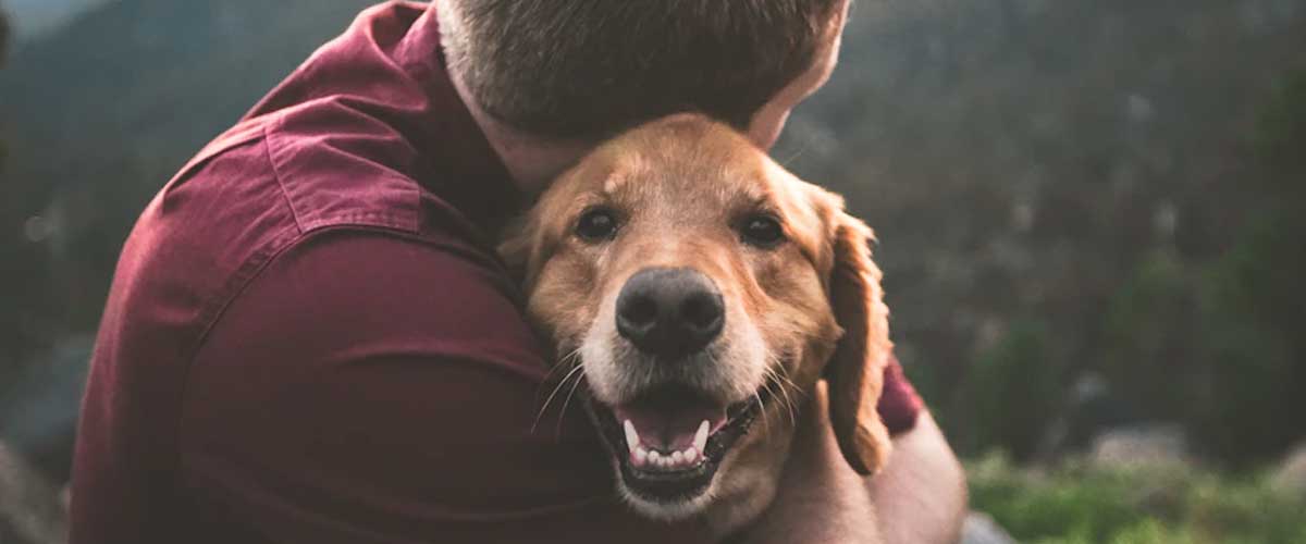 Celebrating Senior Dogs and Their Unique Health Needs
