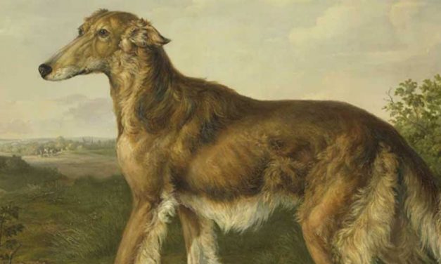 The Role of Canine Companions in Ancient Civilizations