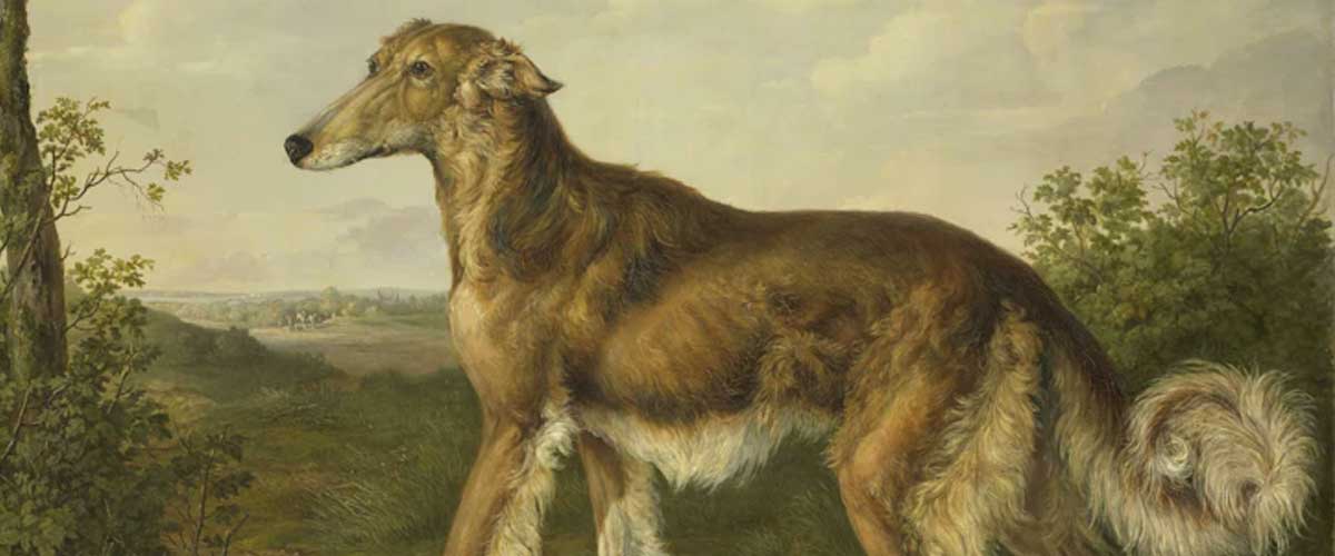 The Role of Canine Companions in Ancient Civilizations