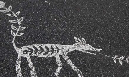 The Evolution of the Dog: From Ancient Ancestors to Modern Companions