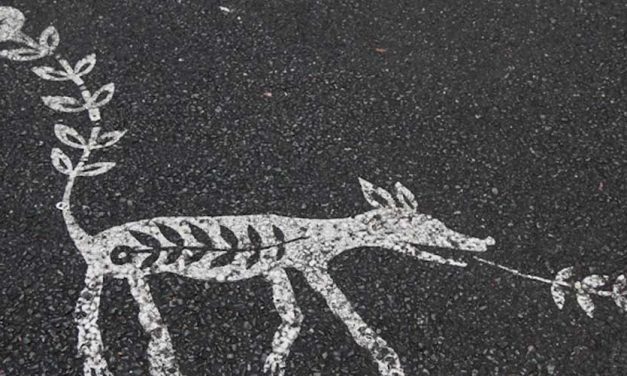 The Evolution of the Dog: From Ancient Ancestors to Modern Companions