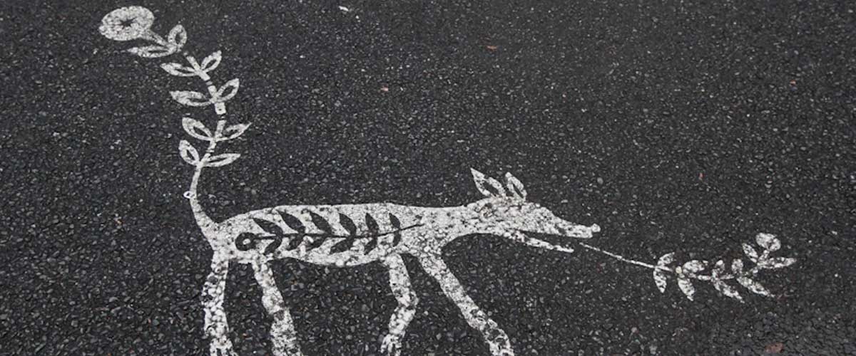 The Evolution of the Dog: From Ancient Ancestors to Modern Companions