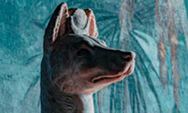 The Role of Dogs in Ancient Egypt