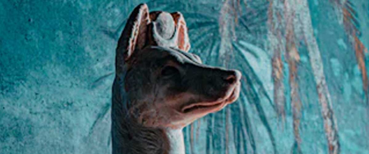 The Role of Dogs in Ancient Egypt