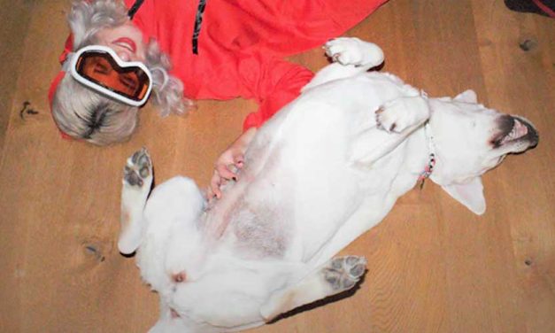 How to Train Your Dog to Play Dead