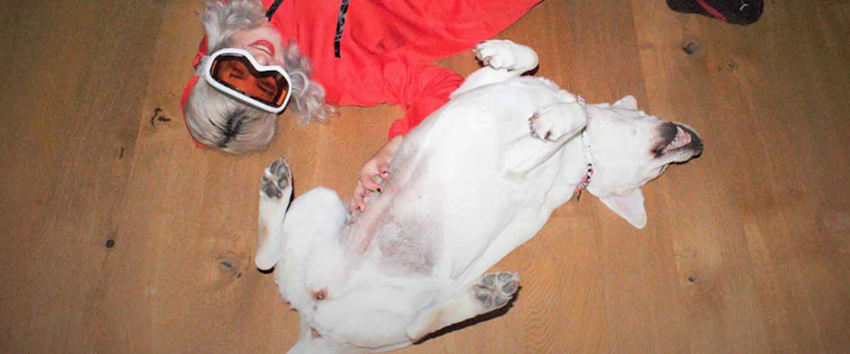 How to Train Your Dog to Play Dead