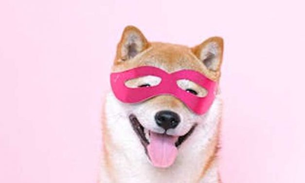 Has a Dog Ever Been Arrested?