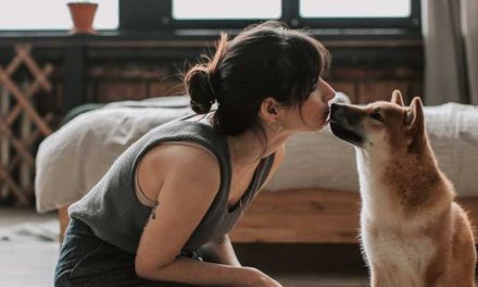 Do Dogs Love Sleeping Next to Humans?