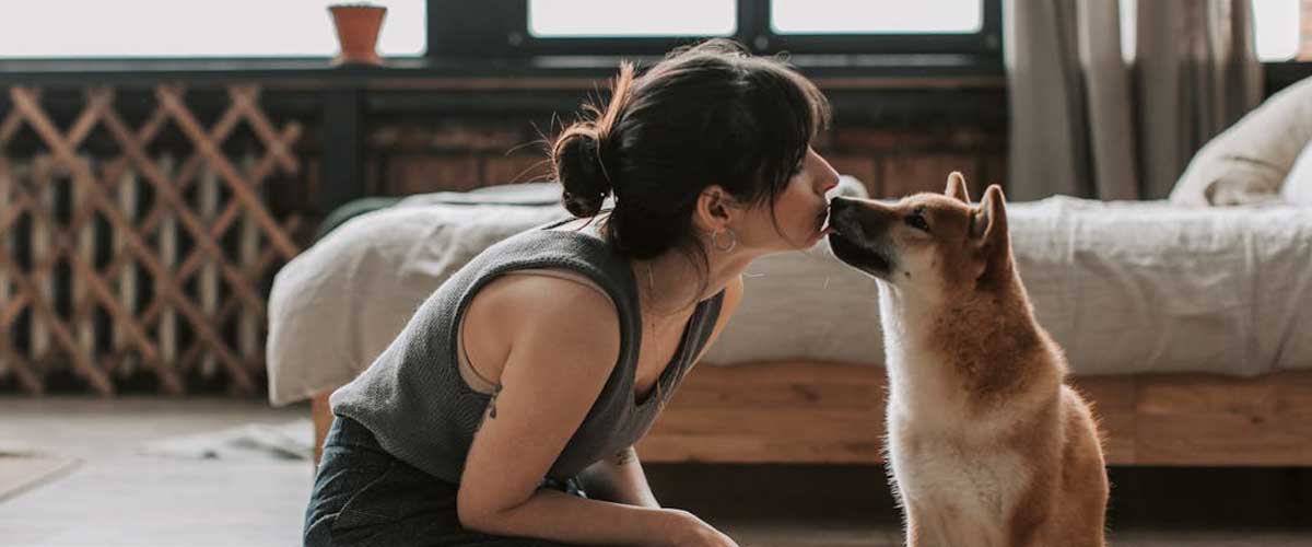 Do Dogs Love Sleeping Next to Humans?