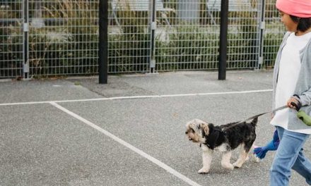 Involving Children in the Dog Training Journey: A Bonding Experience