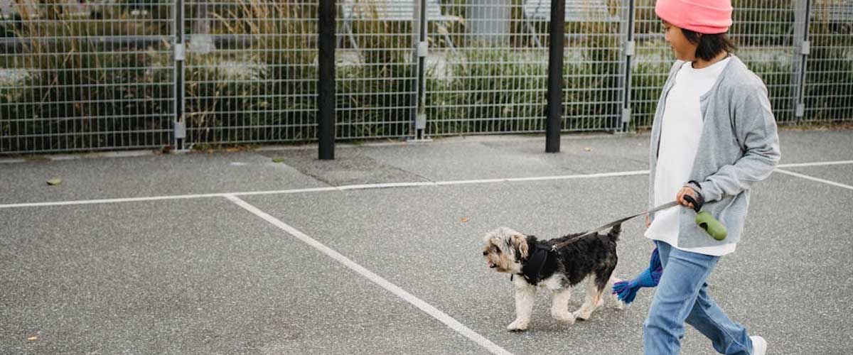 Involving Children in the Dog Training Journey: A Bonding Experience
