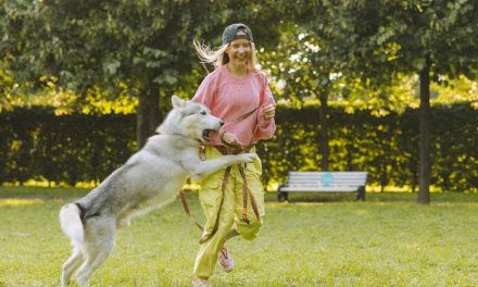 Why Do Dogs Jump Up on You and Other People?