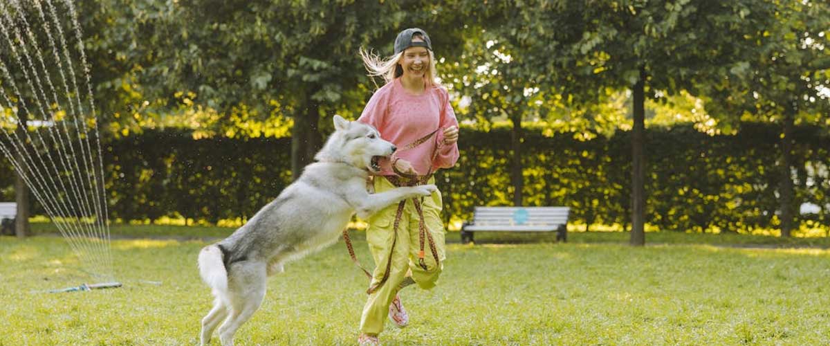 Why Do Dogs Jump Up on You and Other People?