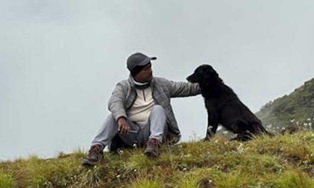 The Entlebucher Mountain Dog: A Swiss Gem