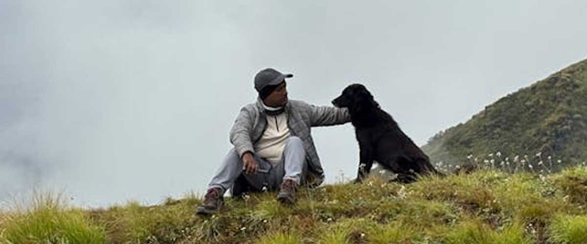 The Entlebucher Mountain Dog: A Swiss Gem