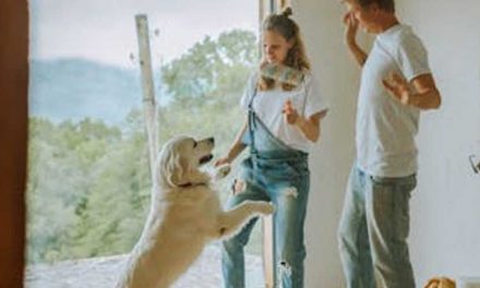 How to Create a Hierarchy Within Your Household That Your Dog Will Understand