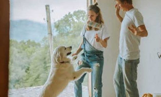 How to Create a Hierarchy Within Your Household That Your Dog Will Understand