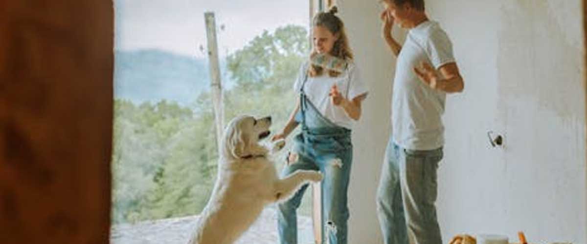 How to Create a Hierarchy Within Your Household That Your Dog Will Understand