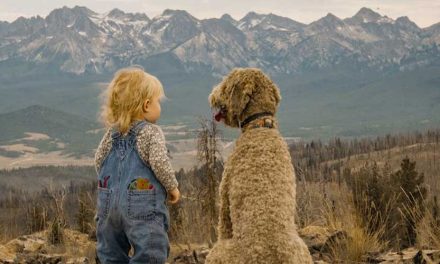 How to Help a Child Who is Fearful Around Dogs