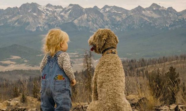 How to Help a Child Who is Fearful Around Dogs