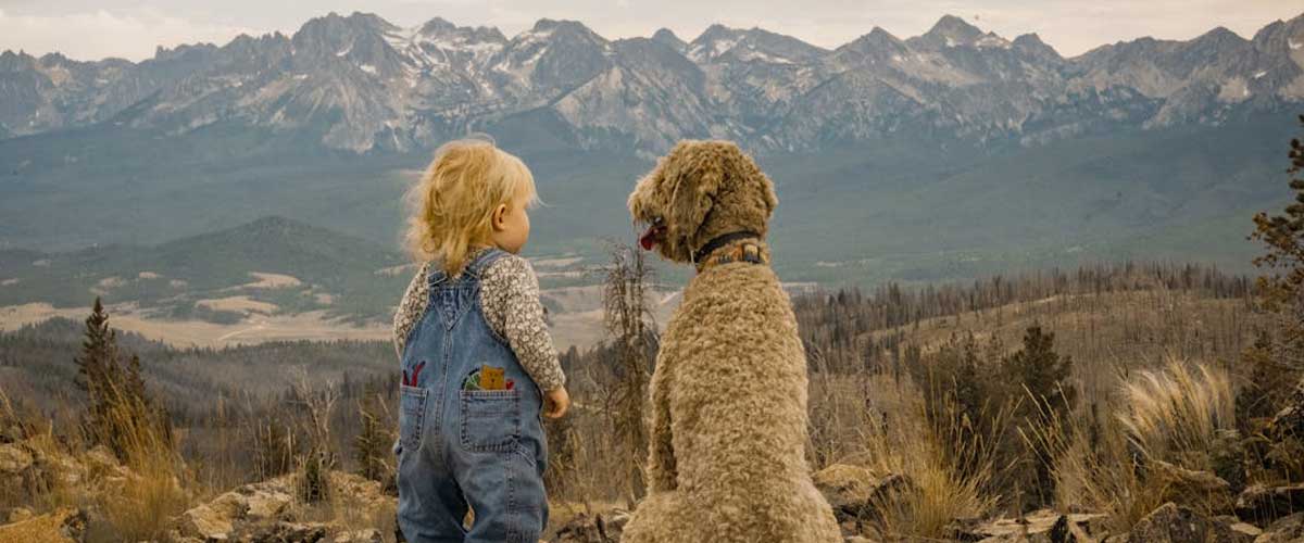 How to Help a Child Who is Fearful Around Dogs