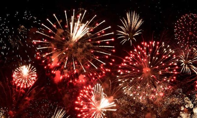 Helping Your Dog Through Fireworks Noise