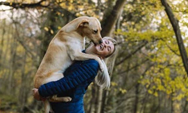 How Do Dogs Say “I Love You”?