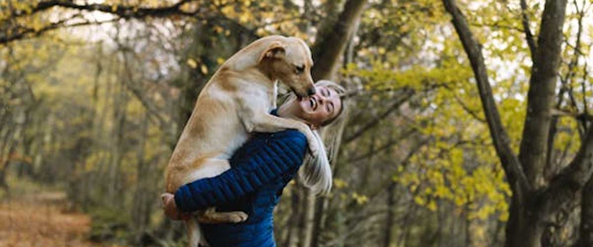 How Do Dogs Say “I Love You”?