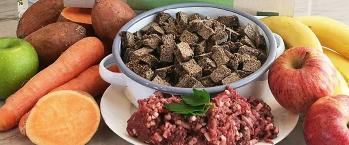 Innocent Hound: A Gourmet Meal for Your Canine Companion